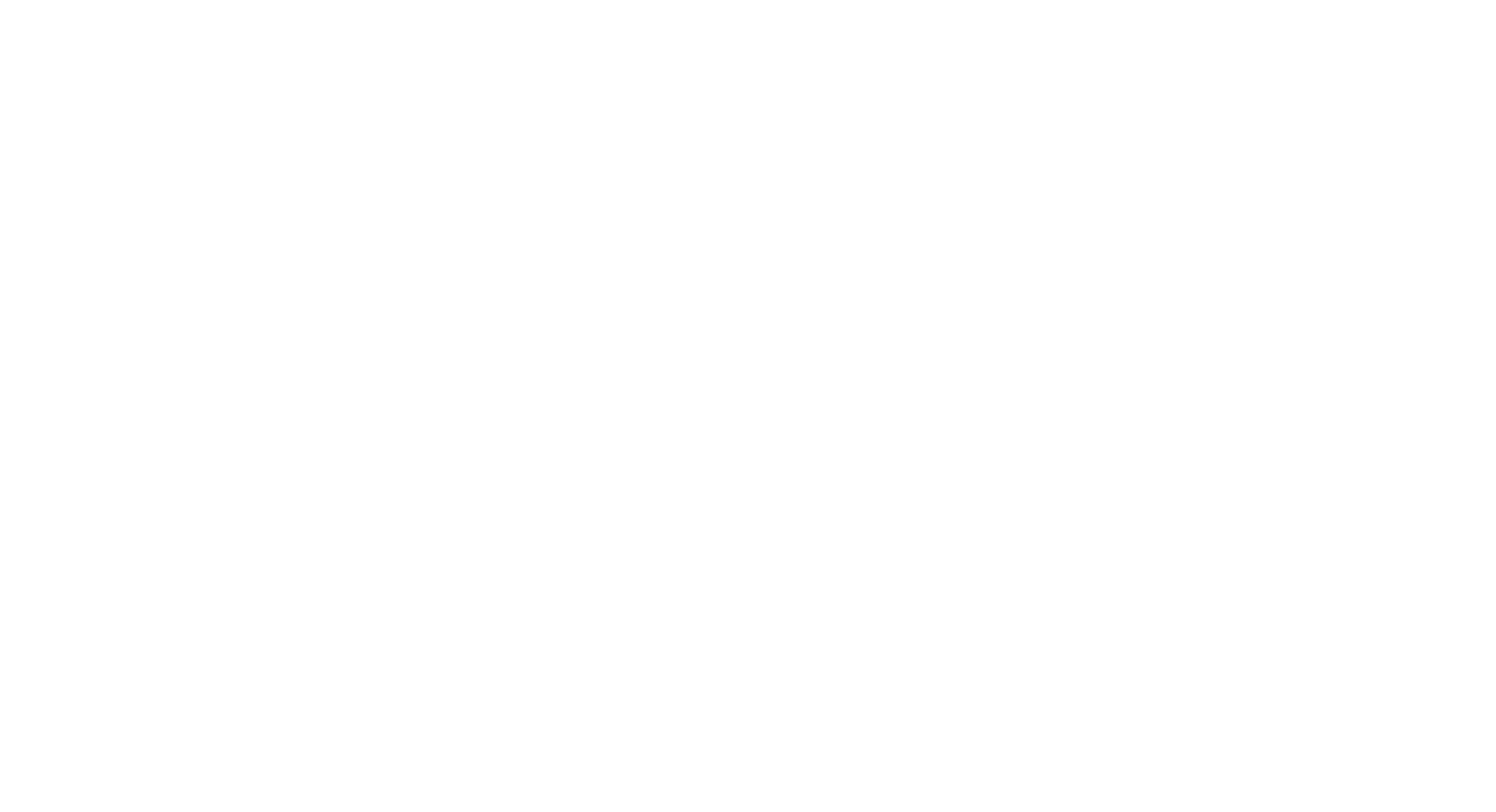 Cairo International Animation